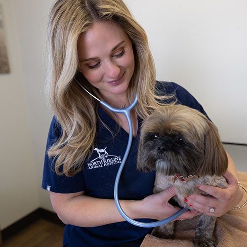 Stethoscope-Dog